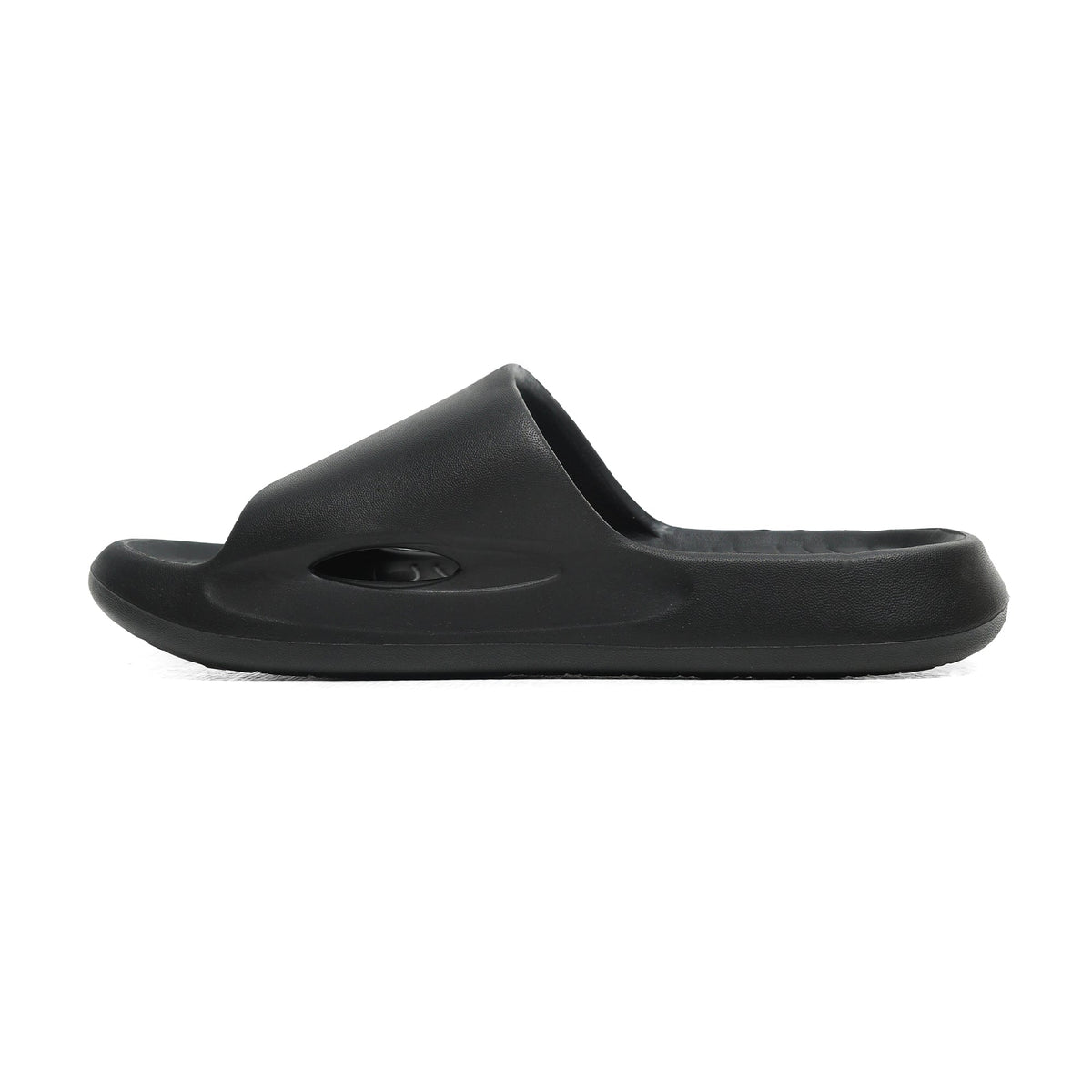 Dusky Terns - Black