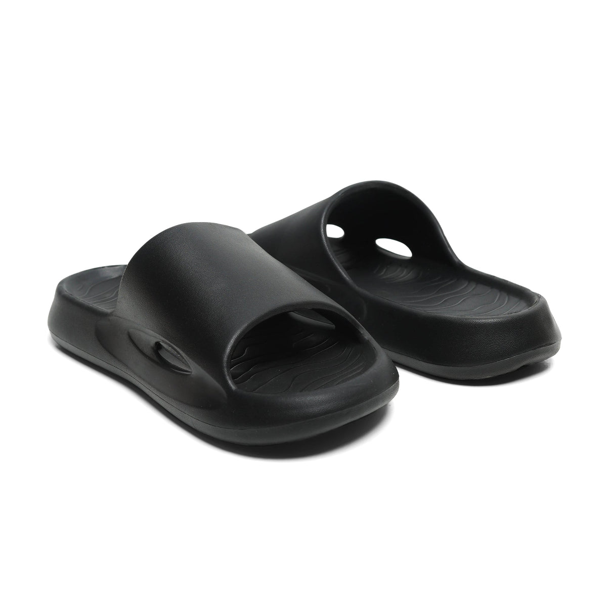 Dusky Terns - Black
