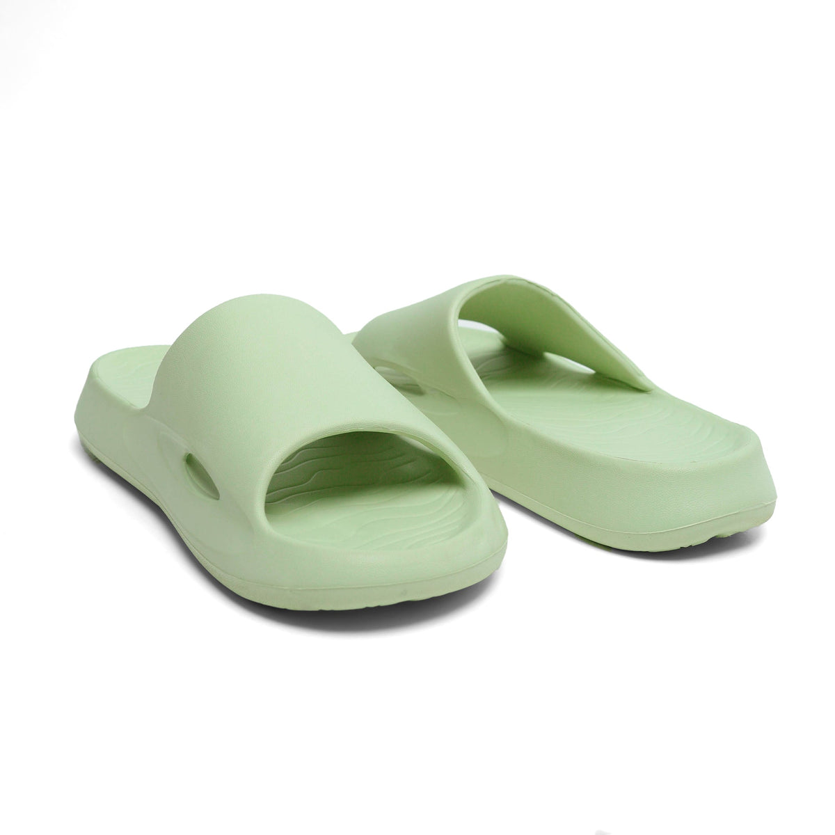 Dusky Terns - Green