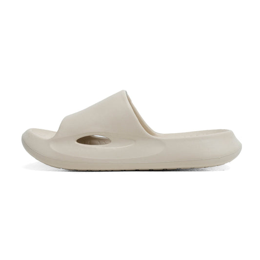 Dusky Terns - Khaki