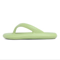 Sunbirds - Light Green