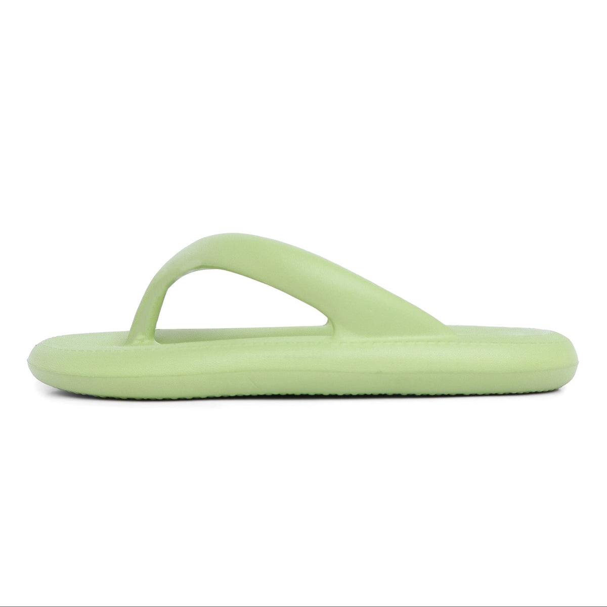 Sunbirds - Light Green