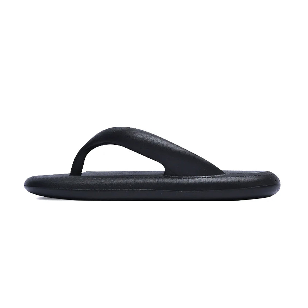 Sunbirds - Black